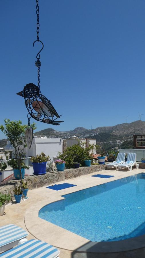 Villa Priene - Gumusluk Private Pool Exterior photo