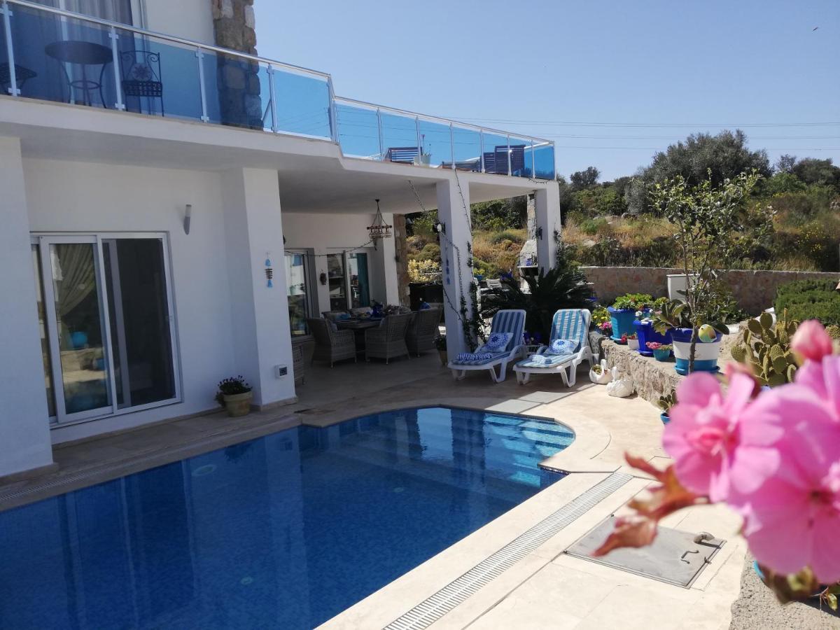 Villa Priene - Gumusluk Private Pool Exterior photo