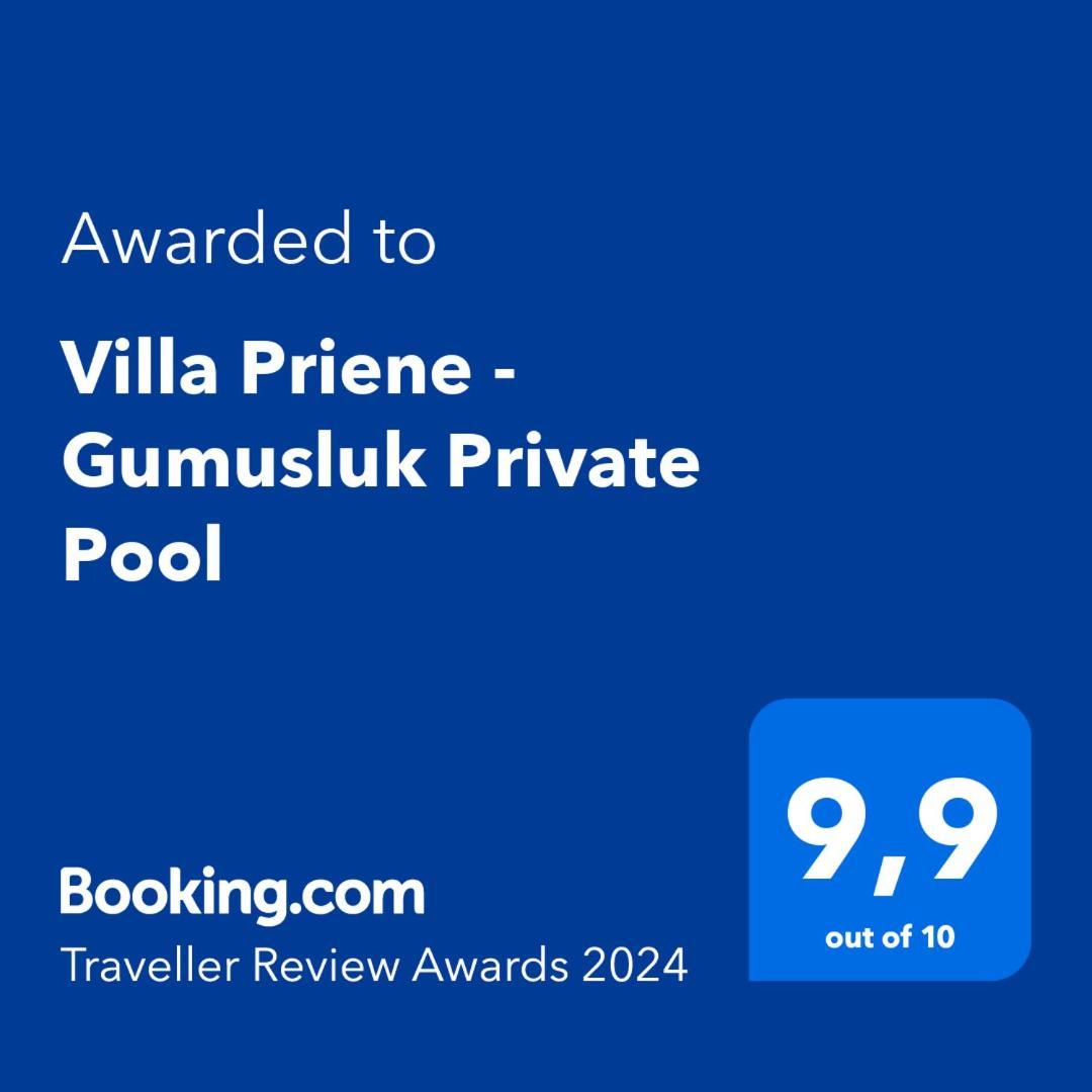 Villa Priene - Gumusluk Private Pool Exterior photo